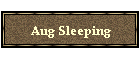 Aug Sleeping